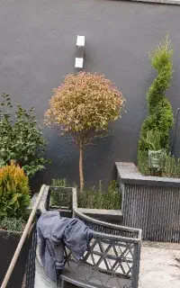 خدمات باغبانی هرسکاری گلکاری بیلزنی خاک گلدون