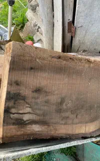 چوب گردو سیاه