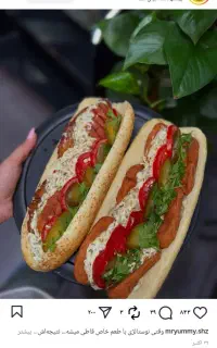 نیرو جهت کار در فست فود