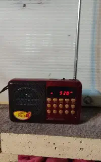 رادیو اسپیکر