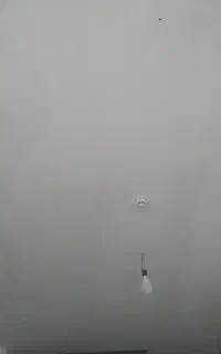 کارگر وارد گچکار همیشگی
