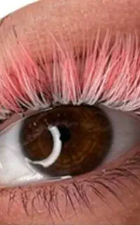 کاشت مژه  100تا۲۵۰تومان  در  طوقچی