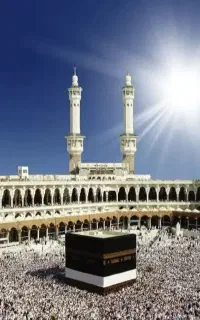 فیش حج