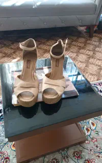 کفش مجلسی