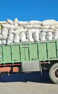 پوست پسته و پسته پوک شمارا خریداریم