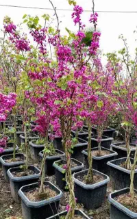 راهنمایی سرمایه گذاری نیاز دارم
