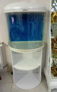 آکواریوم شرکتی