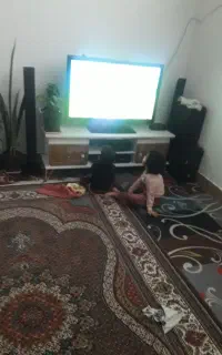 تلویزیون