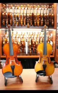 ویولنسل و ویولن آبنوس چوب فر