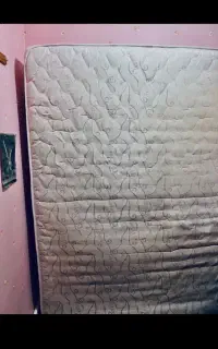 تشگ دیپلمات