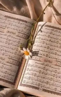 قرآن خوانی