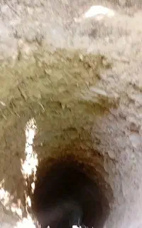 حسین افغانی چاکن