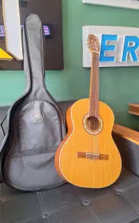 گیتار پارسی