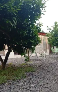 نیروی کار آقا ترجیحن جواب