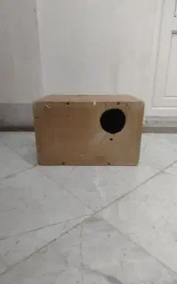 لونه عروس و طوطی سان
