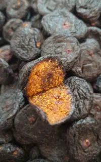 انجیرخشک سیاه پلدختر