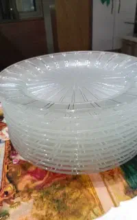 دو دست بشقاب پلو خوری