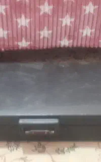 سونی دو فلش خور