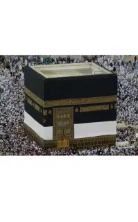 فروش فیش حج