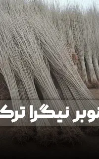 کاشت هوشمندانه سود میلیاردی ارسال به سراسر کشور