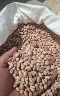 مواد غذایی