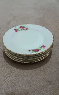 چینی گل سرخ