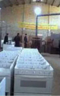 خط،تولید