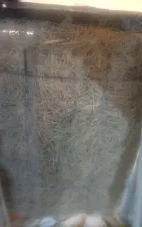 کولر آبی 3200
