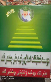 بذر چغندر