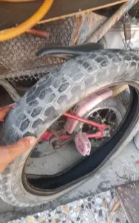 لاستیک ۵۰ درصد