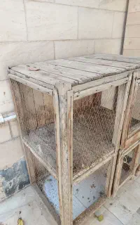 قفس چوبی