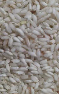 برنج نرک دمسیاه