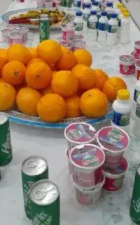 کاروان کربلای معلی