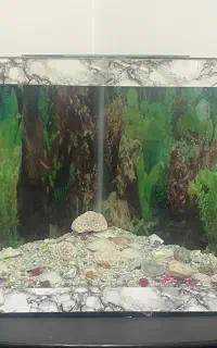آکواریوم سه گوش