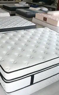 ضد حساسیت