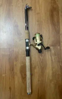 لنسر ماهیگیری