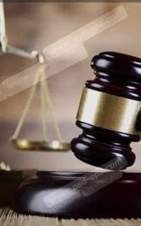 وکیل مشاوره شاهین ویلا