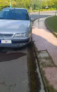 زانتیا بسیار سالم