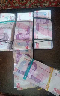 4/500 پنج هزاری