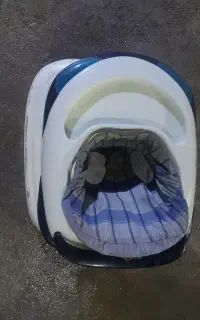 روروک