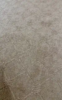 موکت