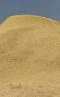 کاه گندم دیم  چسب ازنا