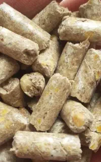 کارخانه خوراک دان پلت کنستانتره دام طیور آبزیان