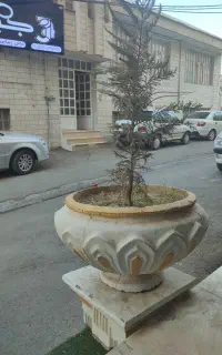 ۴ گلدان بزرگ