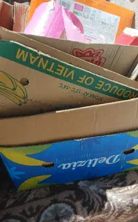 کارتن موز