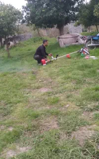 علف زنی