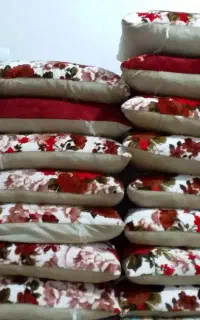 15عددبالش در حد نو
