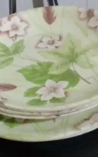 ۵عدد بشقاب ملامین
