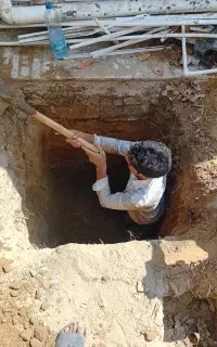 وحید