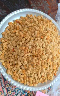 توت